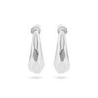 Fluid Elegance Silver Earrings image