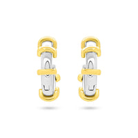 Segmented Round Hoops image