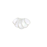 Pearl Shells image
