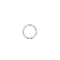 Silver Keychain image