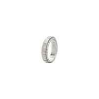 Elegance in Silver image
