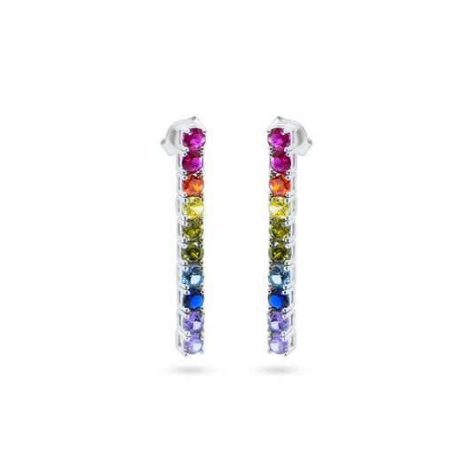 Rainbow Elegance Earrings