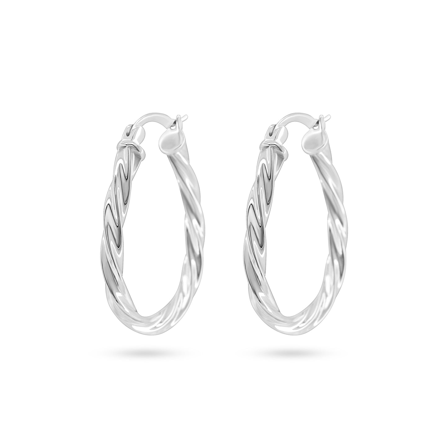 Twisted Elegance Hoop Earrings