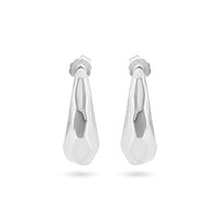 Fluid Elegance Silver Earrings image