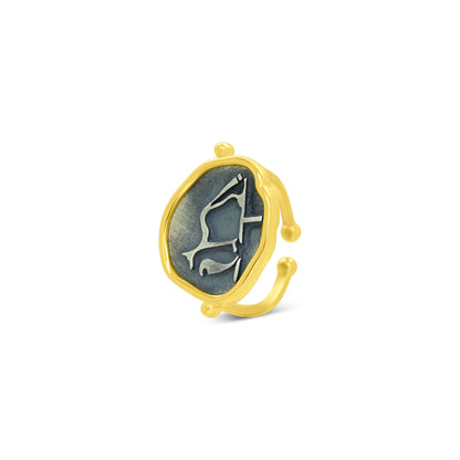 Hieroglyphic Animal Symbol Ring