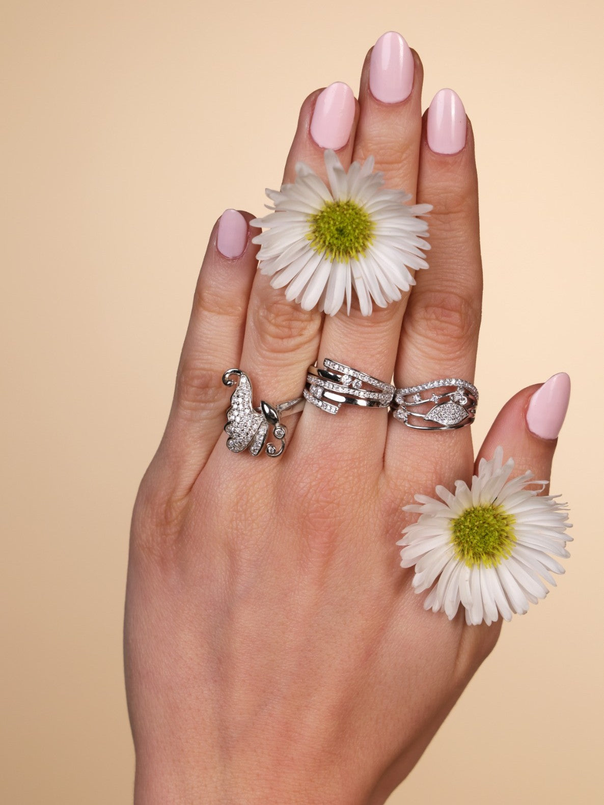 Butterfly Elegance Set