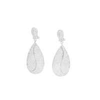 Chic & Elegant Dangle Earrings image